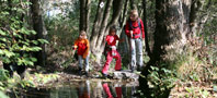 Wandern am Rothaarsteig