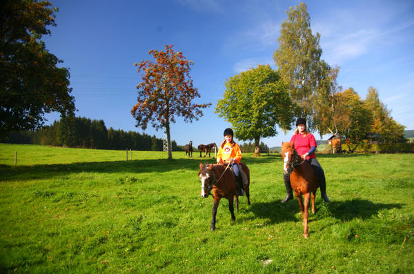 Reiten in Bad Berleburg